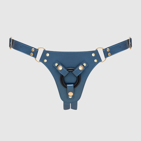 Generous Harness Color Metallic Blue